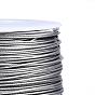 Tiger Tail Wire, 304 Stainless Steel Wire, for Jewelry Making