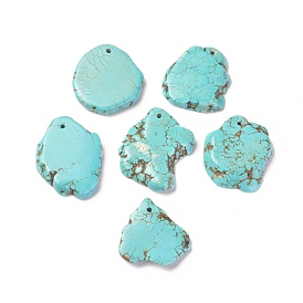 Natural Howlite Pendants, Dyed, Nuggets