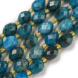 Natural Apatite Beads Strands, Faceted, Oval, with Seed Beads