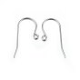 316 нержавеющей стали серьги крюков, провод уха, с горизонтальной петлей