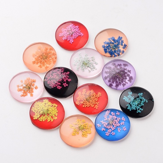 Handmade Glass Flat Back Cabochons, Half Round/Dome, with Dried Flower