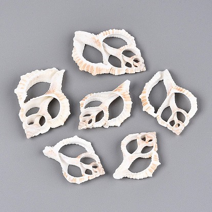 Естественно оболочки большие кулоны, подвески из кусочков ракушек