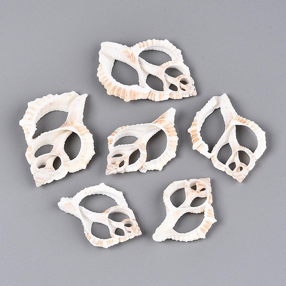 Естественно оболочки большие кулоны, подвески из кусочков ракушек