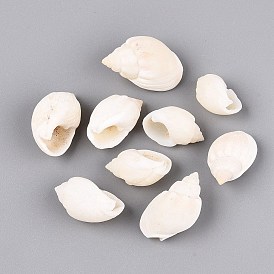 Natural Spiral Shell Display Decorations, for Fish Tank Aquarium Ornaments, Conch Shape