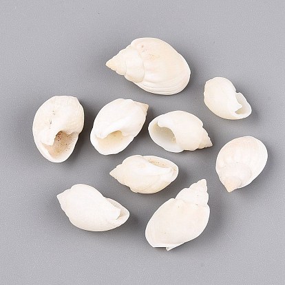 Natural Spiral Shell Display Decorations, for Fish Tank Aquarium Ornaments, Conch Shape