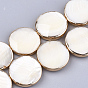 Freshwater Shell Multi-strand Links Strands, 4-Hole, Flat Round, Light Gold Plated Edge