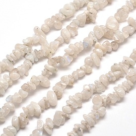 Natural Rainbow Moonstone Chip Bead Strands, 5~8x5~8mm, Hole: 1mm, about 31.5 inch
