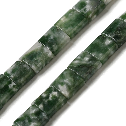 Natural Green Spot Jasper Beads Strands, 2-Hole, Square