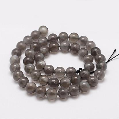 Natural Black Moonstone Beads Strands,  Round
