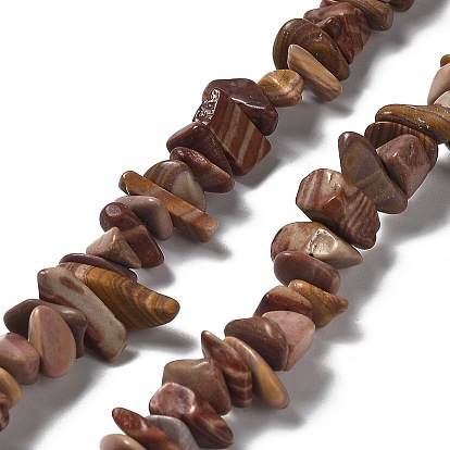 Natural Petrified Wood Beads Strands, Chip