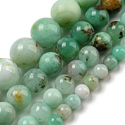 Brins naturels de perles de chrysoprase, ronde