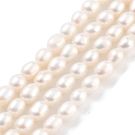 Natural Cultured Freshwater Pearl Beads Strands, Rice