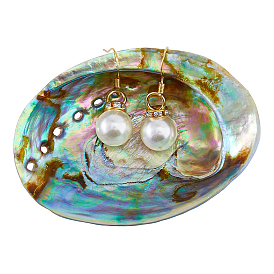 Natural Abalone Shells Display Decorations, Home Decorations, Shell Shape