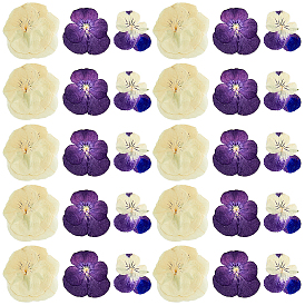 120шт 3 стиль сушеный цветок анютины глазки, ремесленный материал