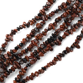 Natural Mahogany Obsidian Beads Strands, Chip