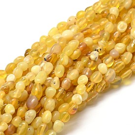Pépites jaunes naturelles opale perles brins, pierre tombée, 5~10x6~7x3~7mm, Trou: 1mm, environ 14.9 pouces ~15.7 pouces