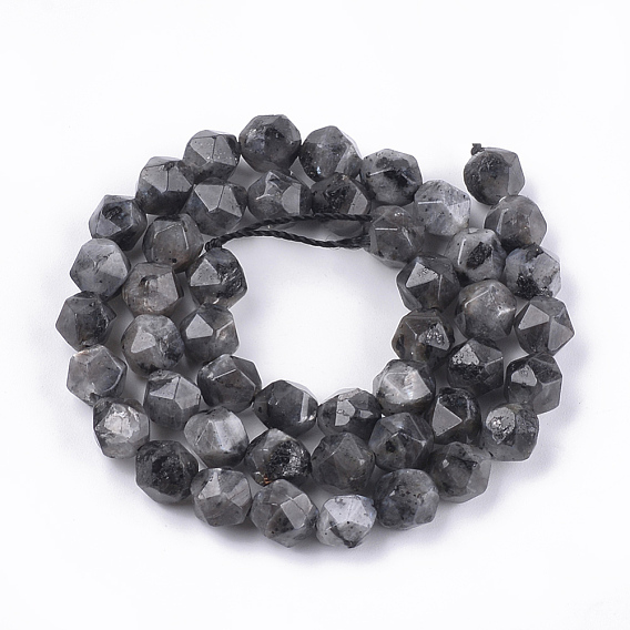 Натуральные нити бус из ларвикита, граненые, круглые