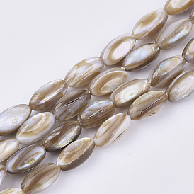 Freshwater Shell Beads Strands, Oval