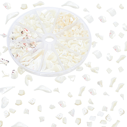 5 Size Natural Trochid Shell/Trochus Shell Beads Strands, Bleach, Chip