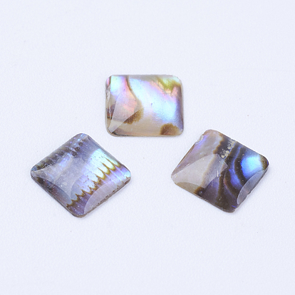 Natural Paua Shell Cabochons, Square