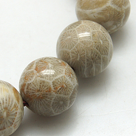 Fossiles naturelle perles de corail brins, ronde, Trou: 1mm