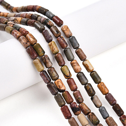 Natural Picasso Jasper/Polychrome Jasper Beads Strands, Barrel