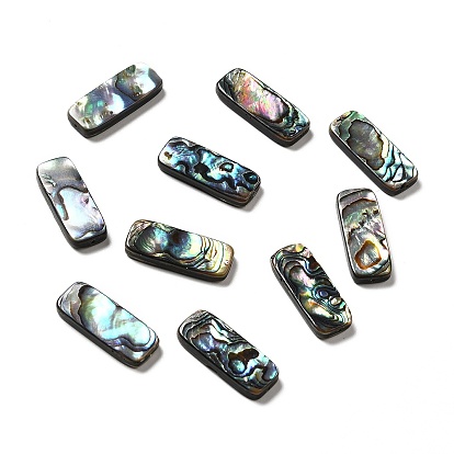 Natural Paua Shell Beads, Rectangle
