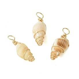 Natural Spiral Shell Pendants, Shell Shaped Charms with Copper Wire Wrapped