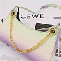 Alloy Butterfly Bag Cable Chains, with Spring Clasps, Bag Replacement Accesssories
