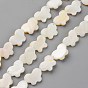 Natural Freshwater Shell Beads Strands, Top Drilled Beads, Butterfly