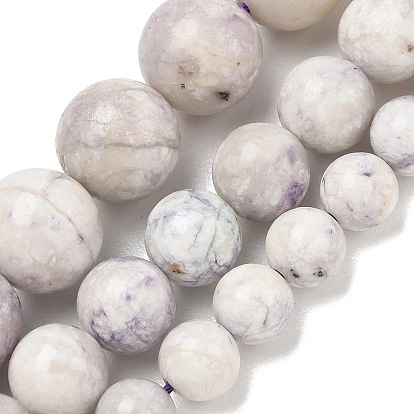 Dyed Natural Howlite Beads Strands, Smooth Round