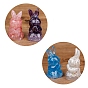Resin Home Display Decorations, with Natural & Synthetic Gemstone Chips Inside, Rabbit