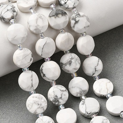 Природные Говлит бисер нитей, граненые шестиугольные бусины в форме монеты, с бисером