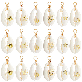 24 шт. 6 стили подвески из натуральной ракушки каури, обмотанные медной проволокой, подвески в форме ракушек с латунными пластинками, золотые, белые