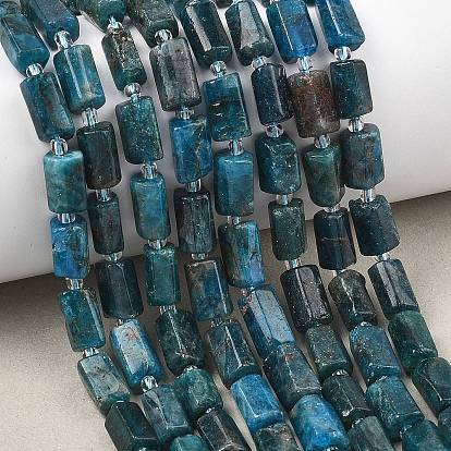 Природного апатита нитей бисера, граненые, колонка, с бисером