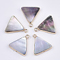 Natural Black Lip Shell Pendants, with Edge Brass Golden Plated and Iron Loops, Half Drilled, Triangle