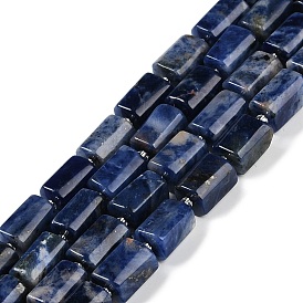 Natural Sodalite Beads Strands, with Seed Beads, Faceted, Column