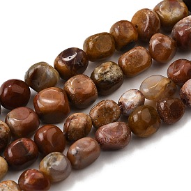 Природные окаменелое дерево бисер пряди, самородки, упавший камень