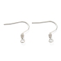 Ion Plating(IP) 316 Surgical Stainless Steel Earring Hooks, Ear Wire, with Horizontal Loop