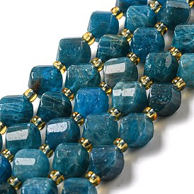 Natural Apatite Beads Strands, with Seed Beads, Faceted Twist