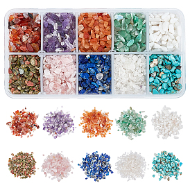 10 Style Natural & Synthetic Mixed Stone Chip Beads, No Hole/Undrilled