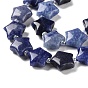 Natural Blue Aventurine Beads Strands, with Seed Beads, Star