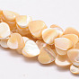 Natural Sea Shell Heart Bead Strands, 8x8x3mm, Hole: 1mm, about 50pcs/strand, 15.7 inch