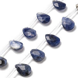 Natural Sodalite Beads Strands, Faceted, Teardrop, Top Drilled
