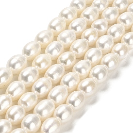Natural Cultured Freshwater Pearl Beads Strands, Rice, Grade 3A