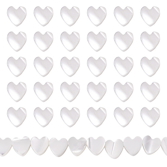 1 Strand Natural Trochid Shell/Trochus Shell Beads Strands, Heart