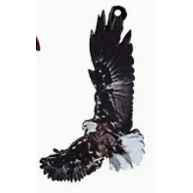 Pendentifs acryliques imprimés, aigle