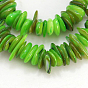 Natural Shell Beads Strands, Dyed, Chips, 6~15x3~7x1~3mm, Hole: 1mm