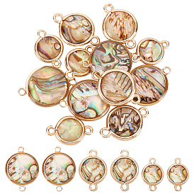 12 шт 3 стили натуральный пауа ракушка соединительные подвески, плоские круглые ссылки, с латунной фурнитурой 