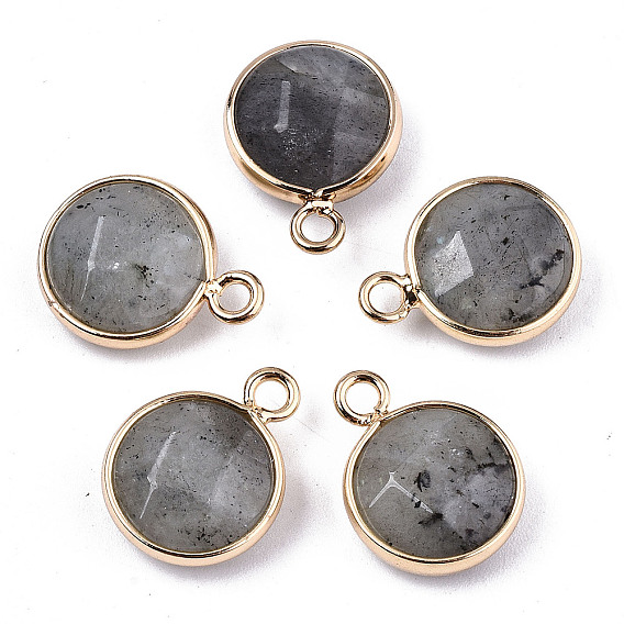 Natural Labradorite Pendants, Light Gold Tone Brass Edge, Faceted, Flat Round